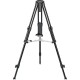 Sachtler PTZ Tripod System with 75mm Ball Base