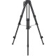 Sachtler PTZ Tripod System with 75mm Ball Base