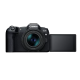 Canon EOS R8 Full-Frame Mirrorless Camera + RF 24-50mm F4.5-6.3 IS STM Lens Kit