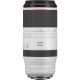Canon RF 100-500mm F4.5-7.1 L IS USM Lens