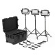 Litepanels Astra IP Half Traveler Trio Gold/V-Mount Kit (EU Power Cable)