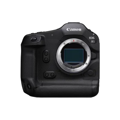 Cinematic Excellence